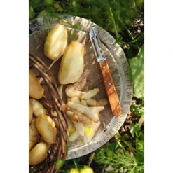 Opinel Coffret Les Essentiels Olivier -Cuisine Boutique 411056 2 2 Coffret Les Essentiels Olivier Opinel