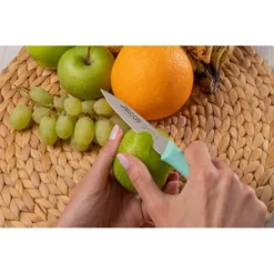 Set 3 Couteaux D'office 8,5 Cm Coloris Pastel -Cuisine Boutique 419014 2 2 Set 3 couteaux d office 8 5 cm coloris pastel Arcos