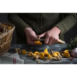 Set Brosse à Champignons Et Couteau à Champignons Pliant N°8 -Cuisine Boutique 609165 2 1 Set brosse a champignons et couteau a champignons pliant N 8