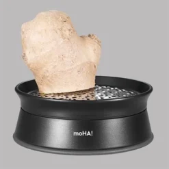 Râpe à Gingembre Ginger