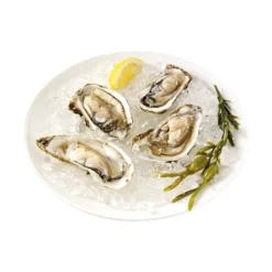 Princess Machine à Glace Pilée 01.282984.01.001 -Cuisine Boutique 780162 4 2 Machine a glace pilee 01 282984 01 001 Princess